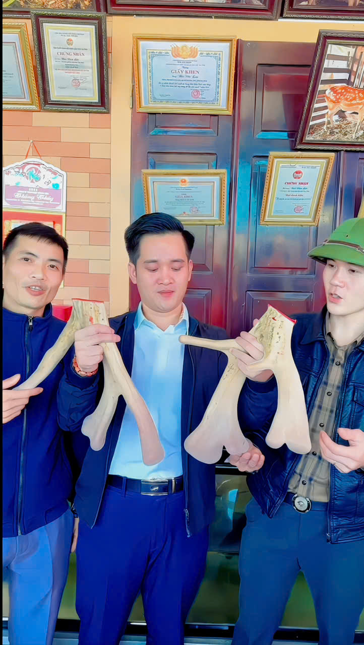 Trang trại Nhật Thuận